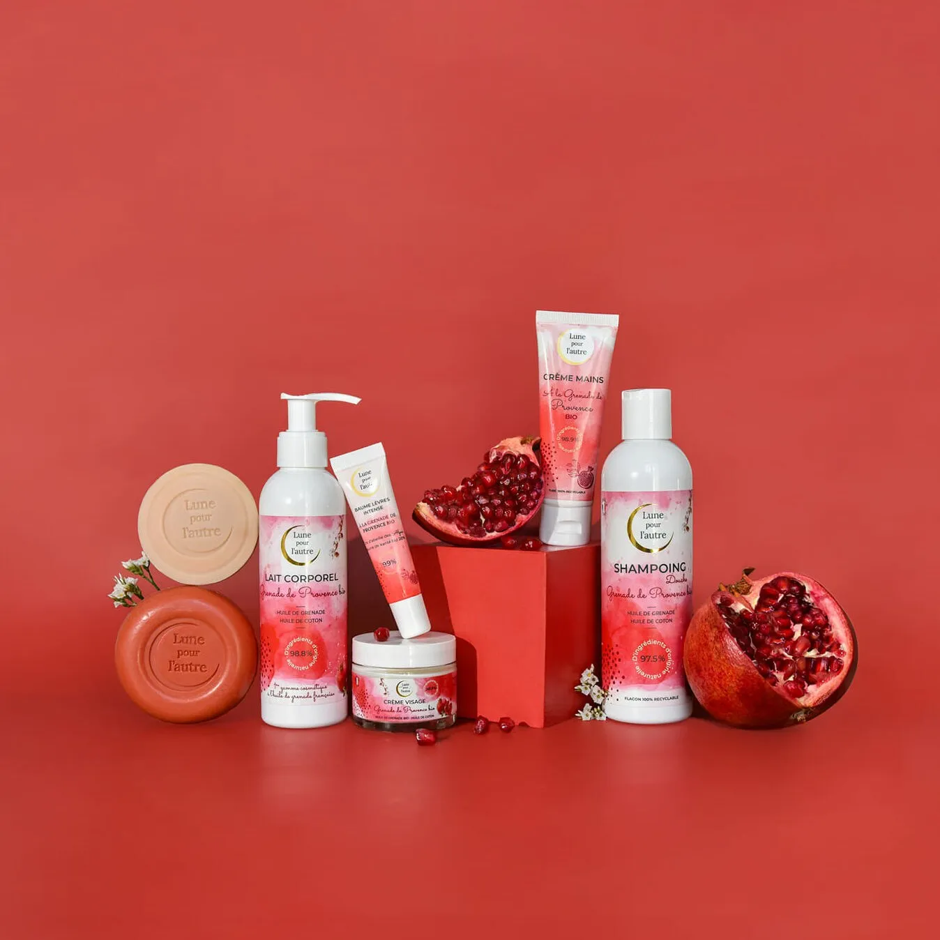 Gamme grenade sur fond rouge