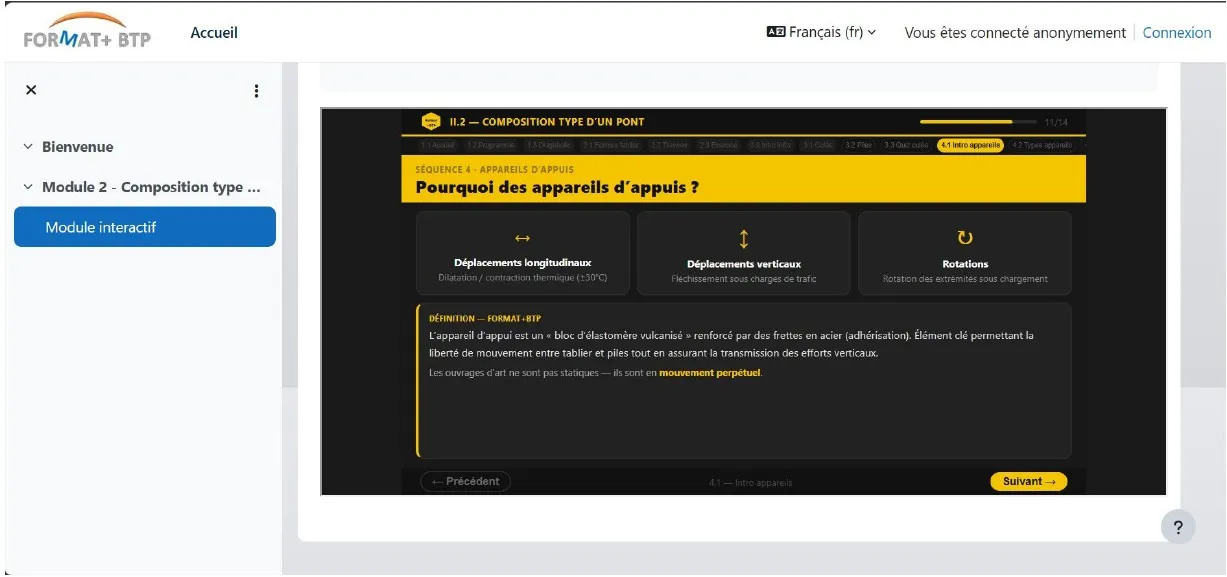 Le module interactif intégré dans un cours de la plateforme Moodle